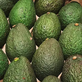 Avocado Bio