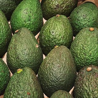 Avocado Bio
