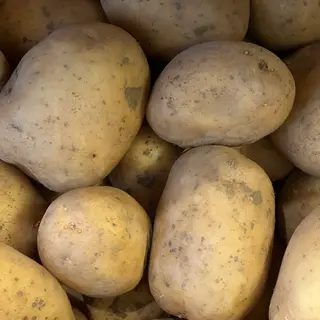 Patata gialla
