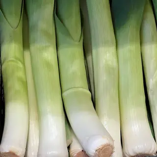 Porri