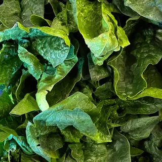 Spinaci