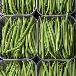 Fagiolini
