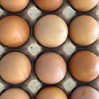 Uova fresche