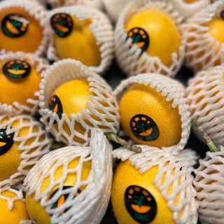 Granadilla 1 pezzo