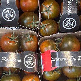 Pomodoro camone