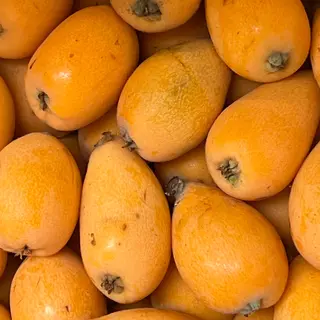 Nespole