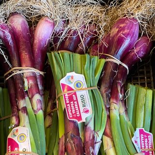 Cipolla di Tropea igp fresca al mazzo