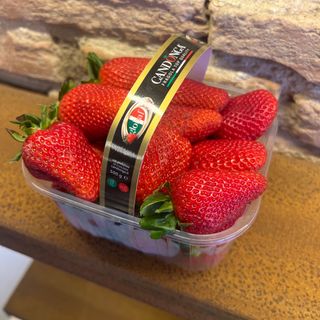 Fragola 600g