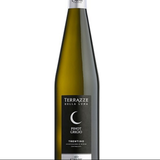 PINOT GRIGIO DOC