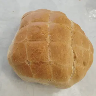Mezzo Chilo di Tartarughe