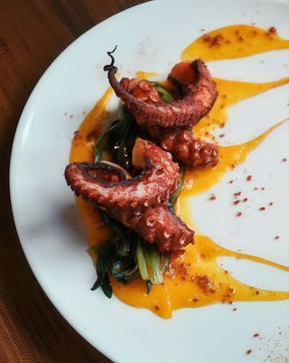 Polpo grill con spuma di patate e paprika dolce