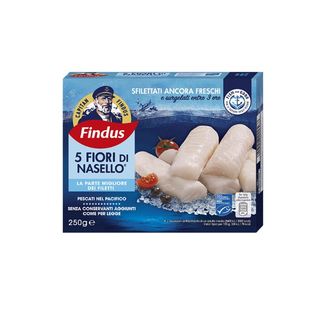 FINDUS 5 FIORI DI NASELLO 250g