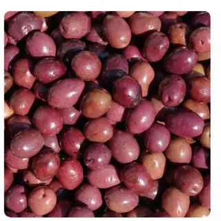 OLIVE GRECHE COMAL