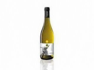 Pecorino Igt Terre di Chieti