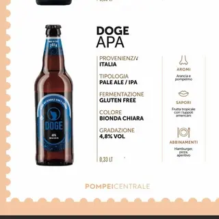 DOGE APA 33 CL