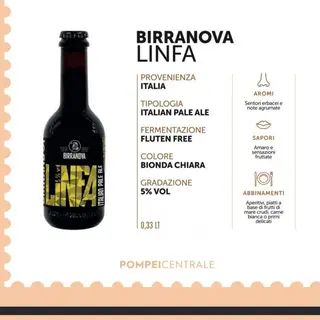 BIRRANOVA LINFA GLUTEN FREE 33 CL