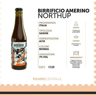 NORTHUP 33 cl