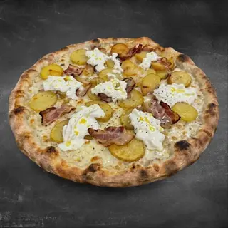 Saporita