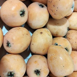 Nespole 500g