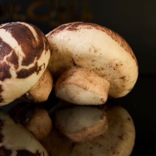 BAO AL FUNGHI