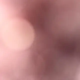 Vino rosato