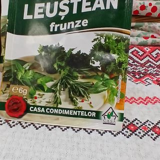 Alex - Leustean Uscat