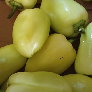Ardei galben 1kg
