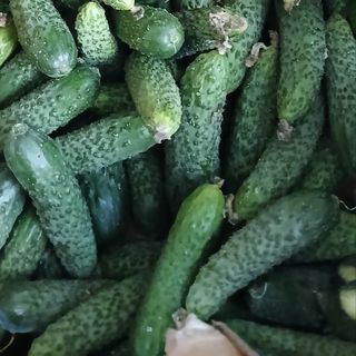 Castraveti cornisor 1kg
