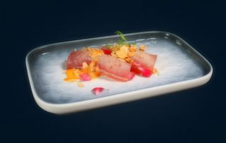 Nigiri maguro