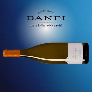 Sciandor Moscato DAsti DOCG - BANFI