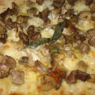 Porcini