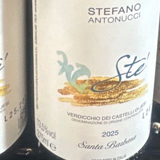 Verdicchio dei castelli do jesi