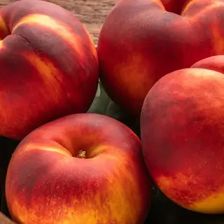 1 kg Pesche