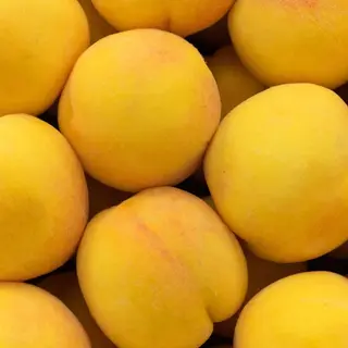 1 kg Percoche