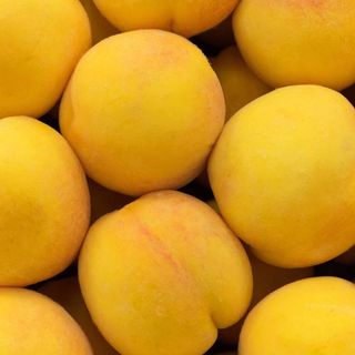 1 kg Percoche