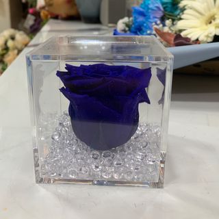 Rose stabilizzate
