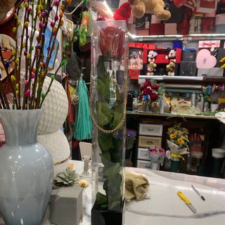 Rosa stabilizzata a stelo lungo