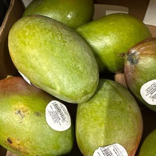 Mango fresco unità