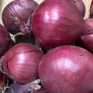 1 kg cipolla rossa