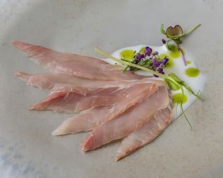 46 Carpaccio ricciola