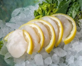 34 Sashimi capesante - 5 pezzi