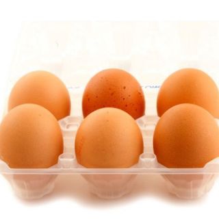 Uova (eggs)