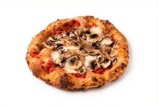 Funghi