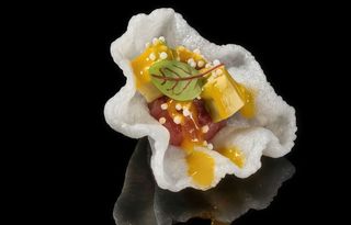 279 Cloud maguro - 1 pezzo