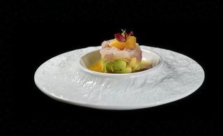 12 Suzuki tartare