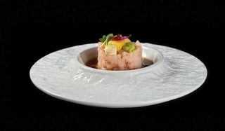 13 Tartare amaebi