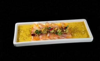 26 Carpaccio Suzuki - 5 pezzi