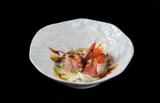 36 Sashimi burrata