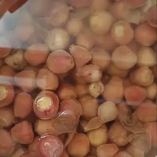 Lampascioni - 100g