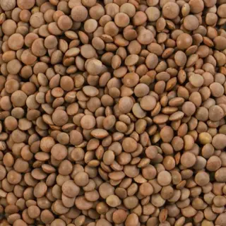Lenticchie rosse in busta - 335g